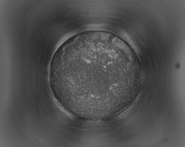 X0000089761386200707121353