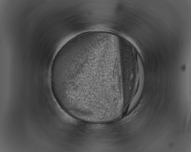 X0000089761387200707121353