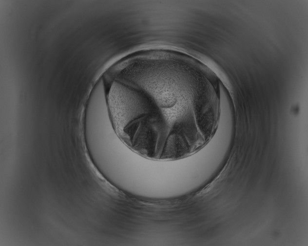 X0000089761388200707121353