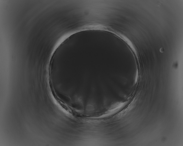 X0000089761389200707121353