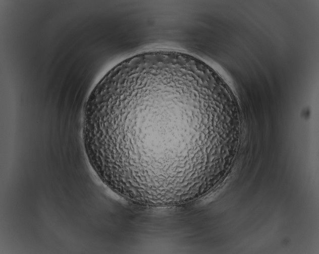 X0000089761390200707121353