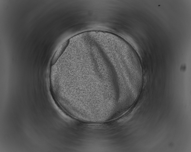 X0000089761391200707121353