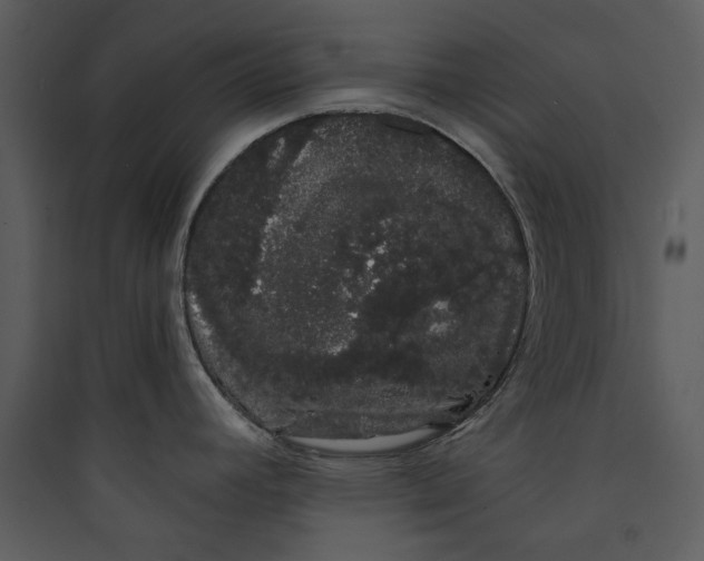 X0000089761392200707121353