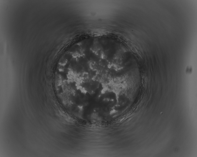 X0000089761393200707121352