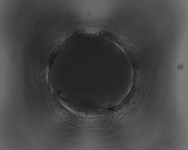 X0000089761394200707121352