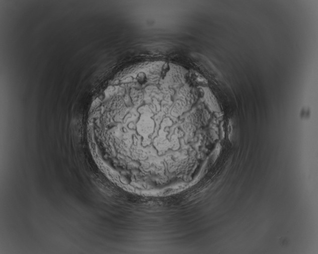 X0000089761395200707121352