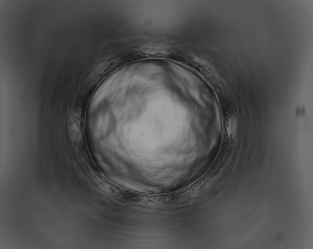 X0000089761396200707121353