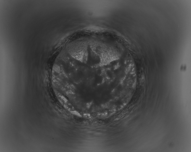 X0000089761397200707121353