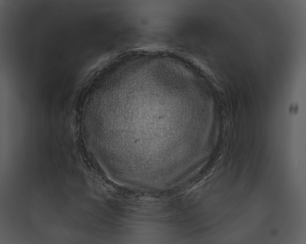 X0000089761398200707121353