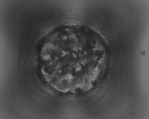 X0000089761399200707121353