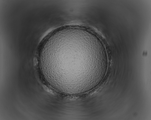 X0000089761400200707121353