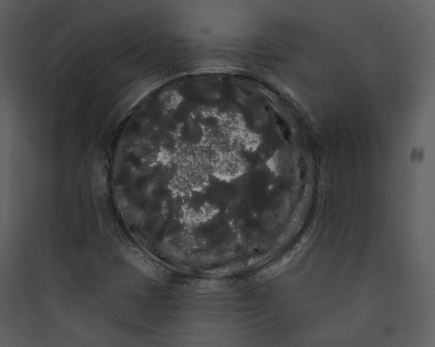 X0000089761401200707121353