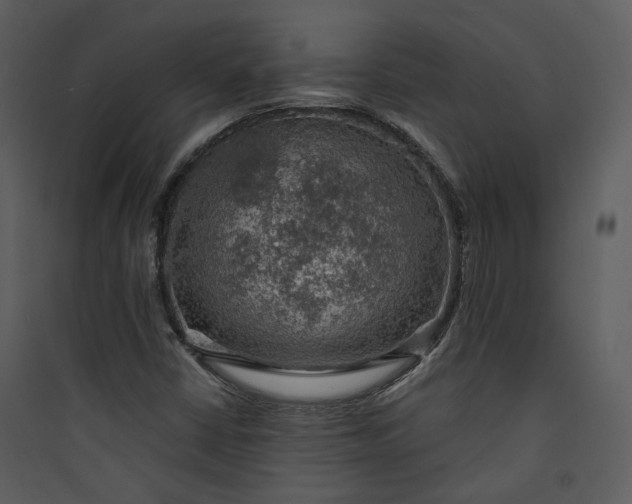 X0000089761402200707121353