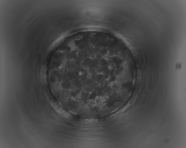 X0000089761403200707121353