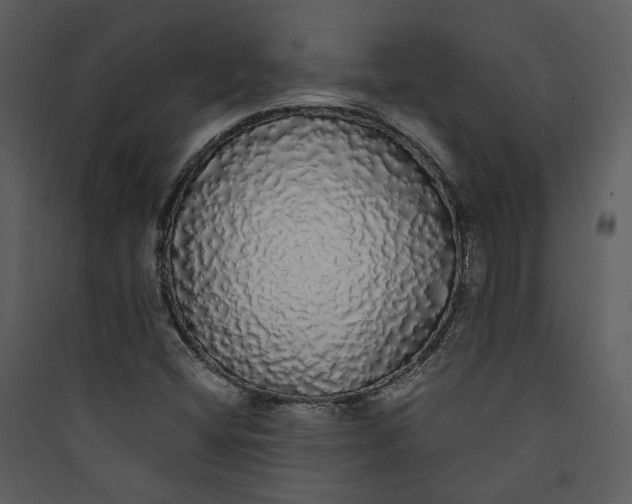 X0000089761404200707121353