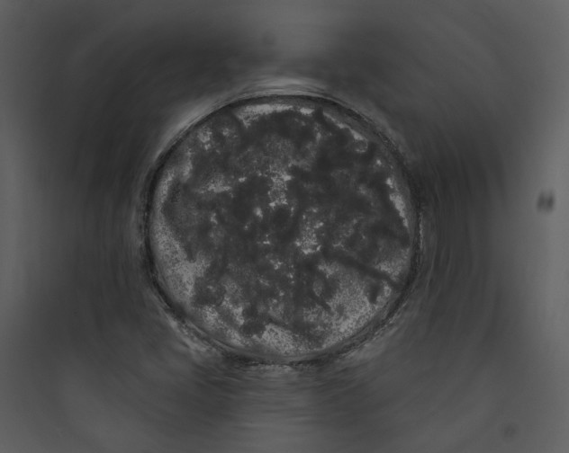 X0000089761405200707121353