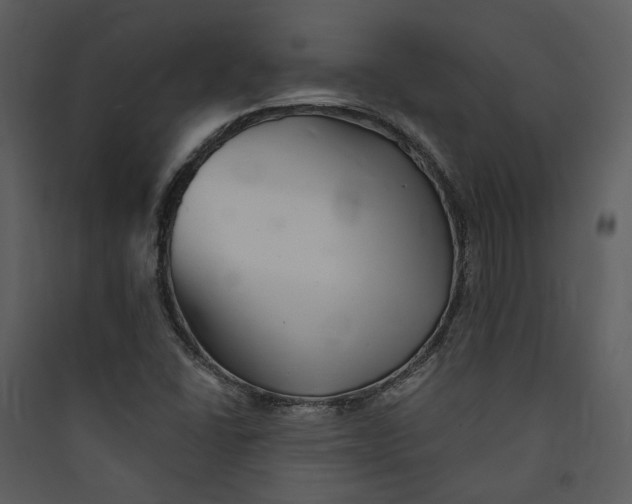 X0000089761406200707121353