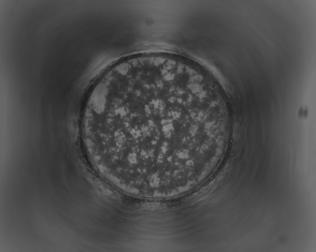 X0000089761407200707121353