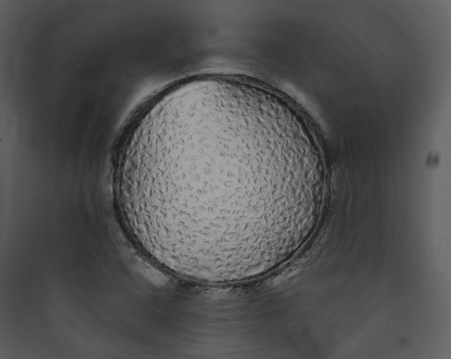 X0000089761408200707121353