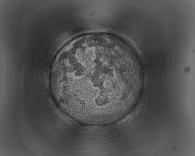 X0000089761409200707121353