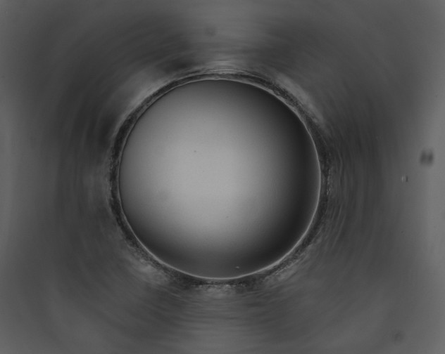 X0000089761410200707121353