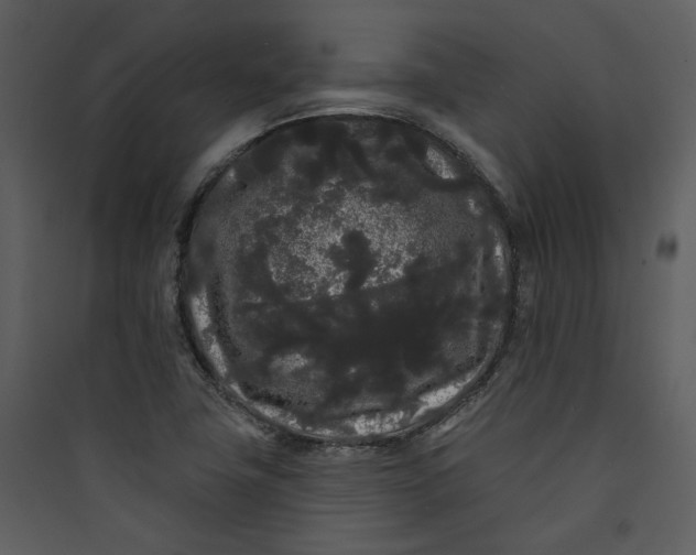 X0000089761411200707121353