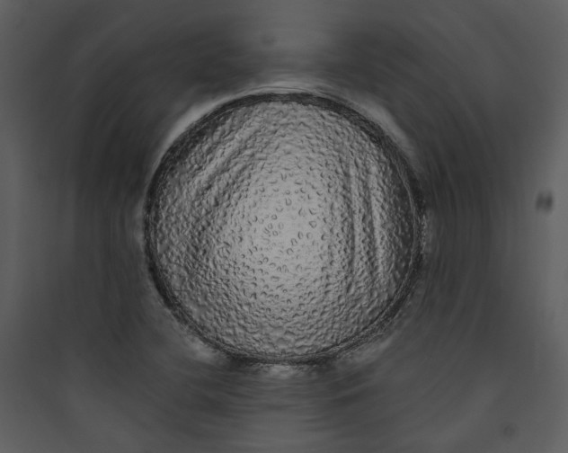 X0000089761412200707121353