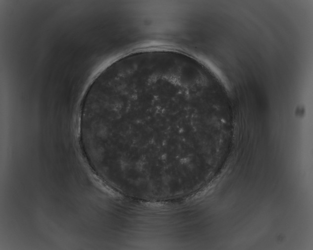 X0000089761413200707121353