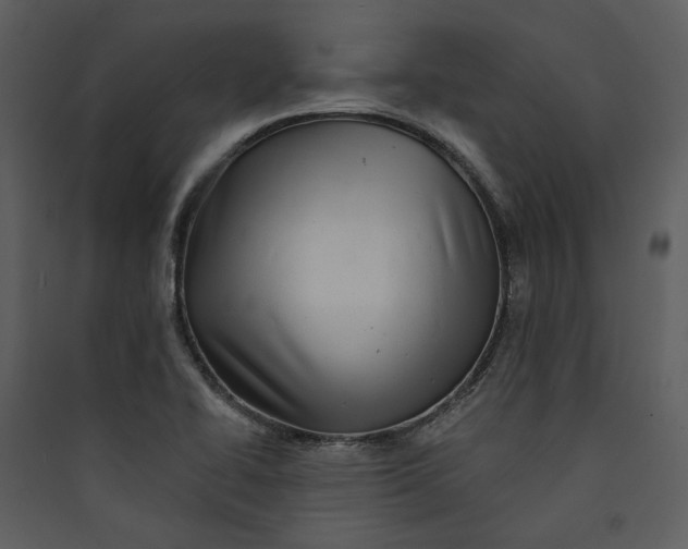 X0000089761414200707121353