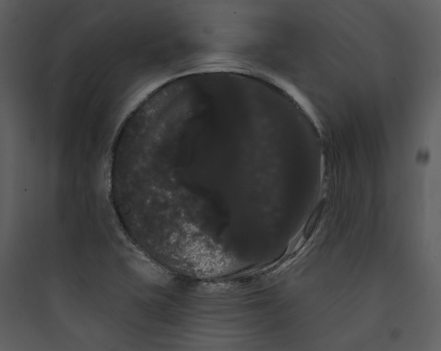 X0000089761415200707121353