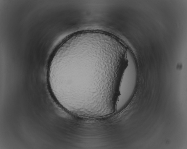 X0000089761416200707121353