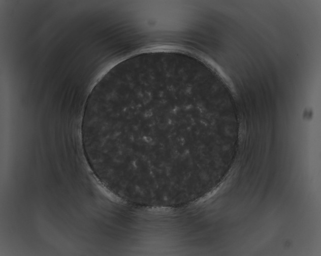 X0000089761417200707121353