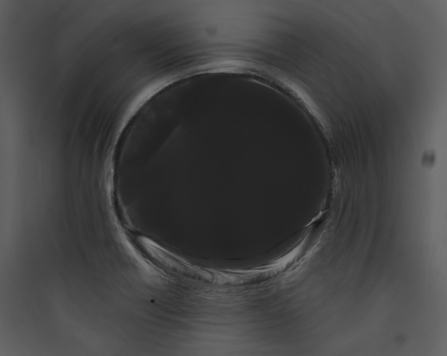 X0000089761418200707121353