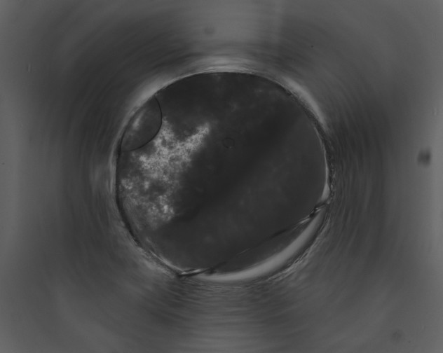 X0000089761419200707121353