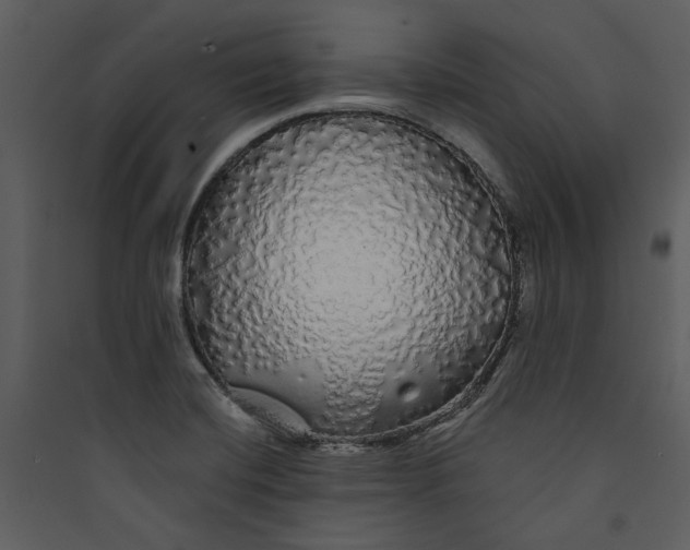 X0000089761420200707121353