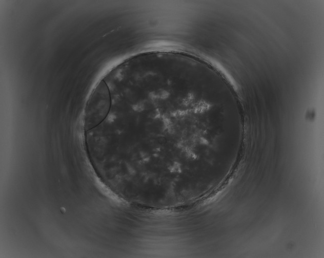 X0000089761421200707121353