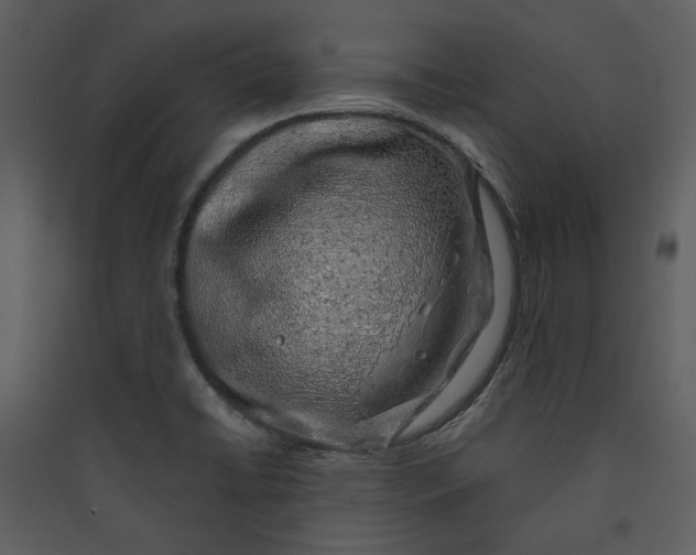 X0000089761422200707121353