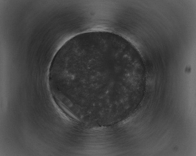 X0000089761423200707121353