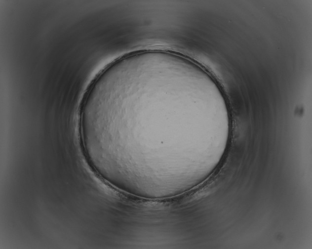 X0000089761424200707121353