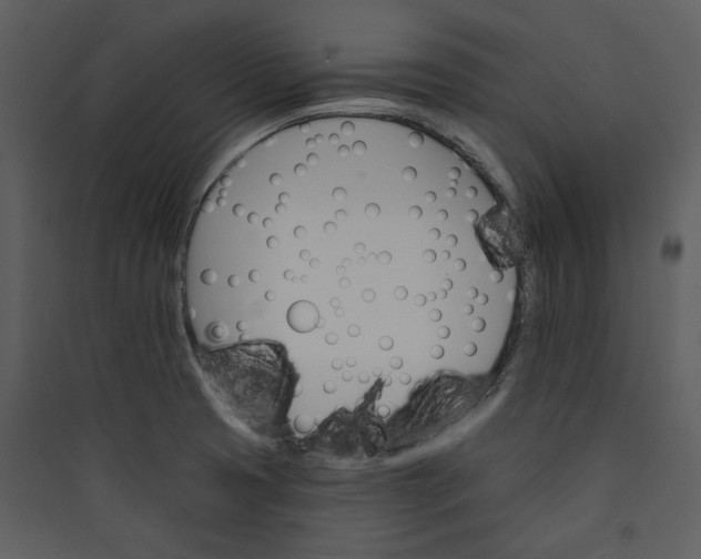 X0000089761425200707121353