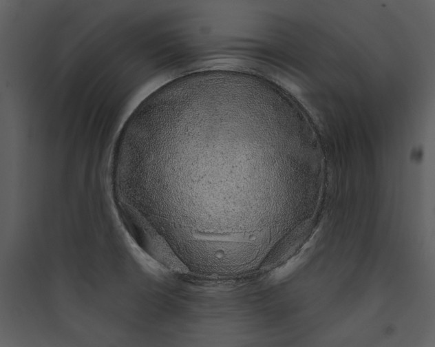 X0000089761426200707121353