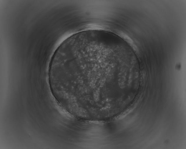 X0000089761427200707121353