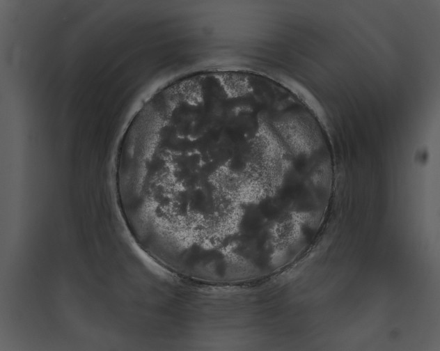 X0000089761429200707121353