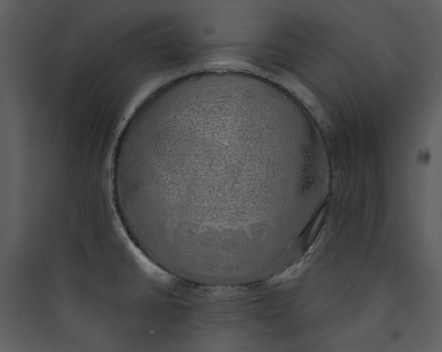 X0000089761430200707121353