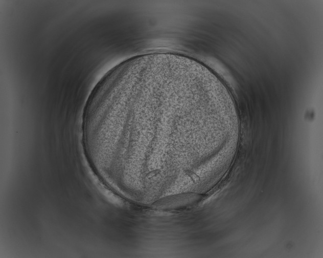 X0000089761431200707121353