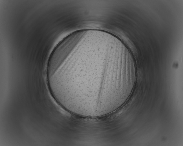 X0000089761432200707121353