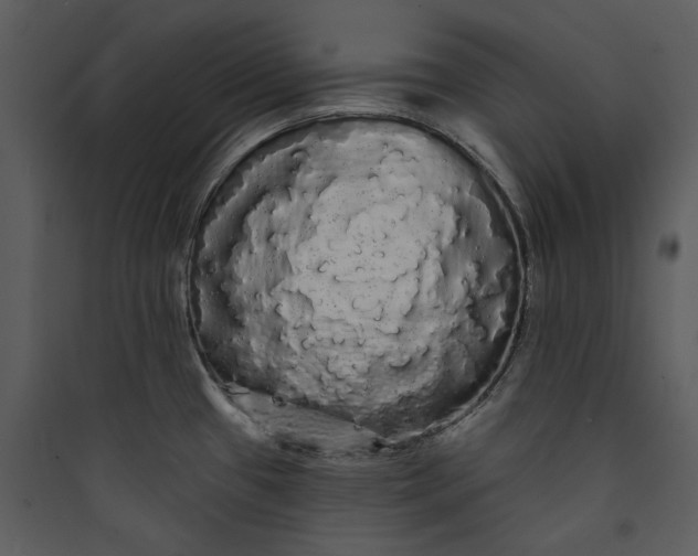 X0000089761433200707121353