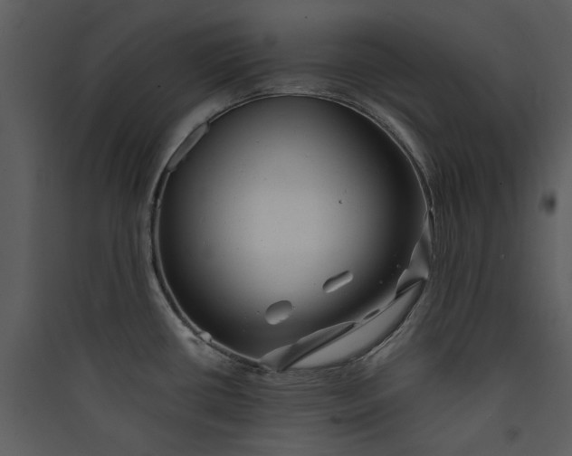 X0000089761434200707121353