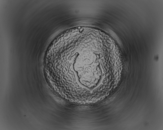 X0000089761435200707121353