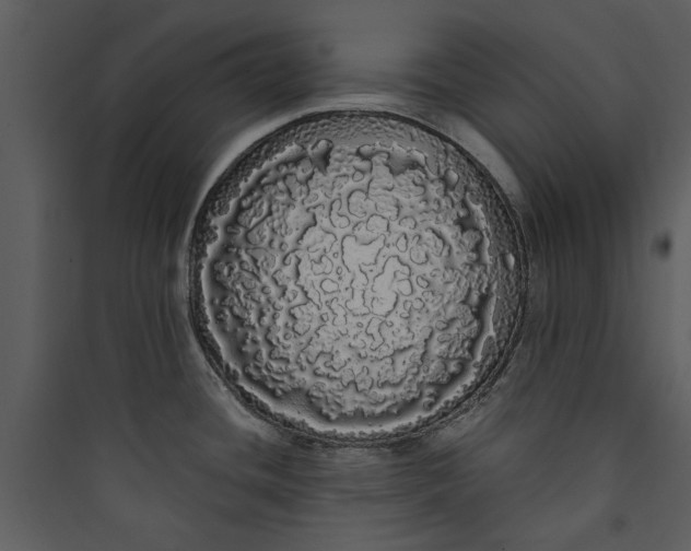 X0000089761436200707121353